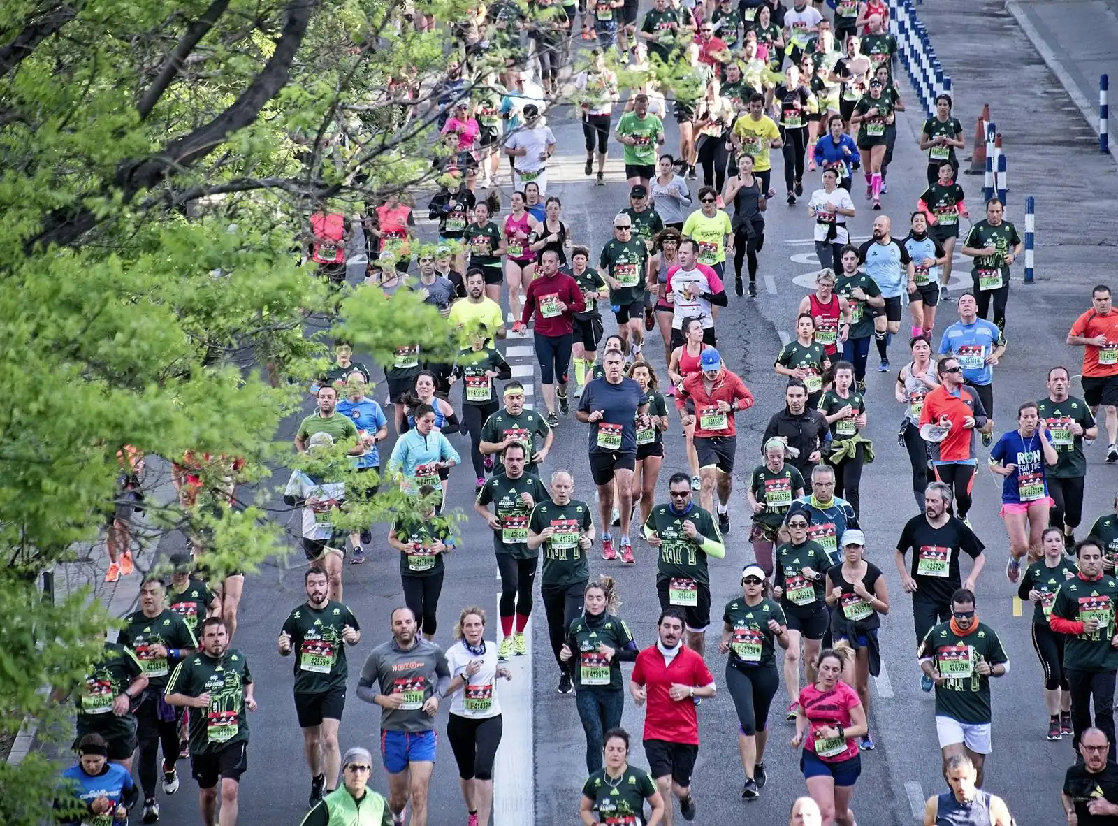 Group of runners together